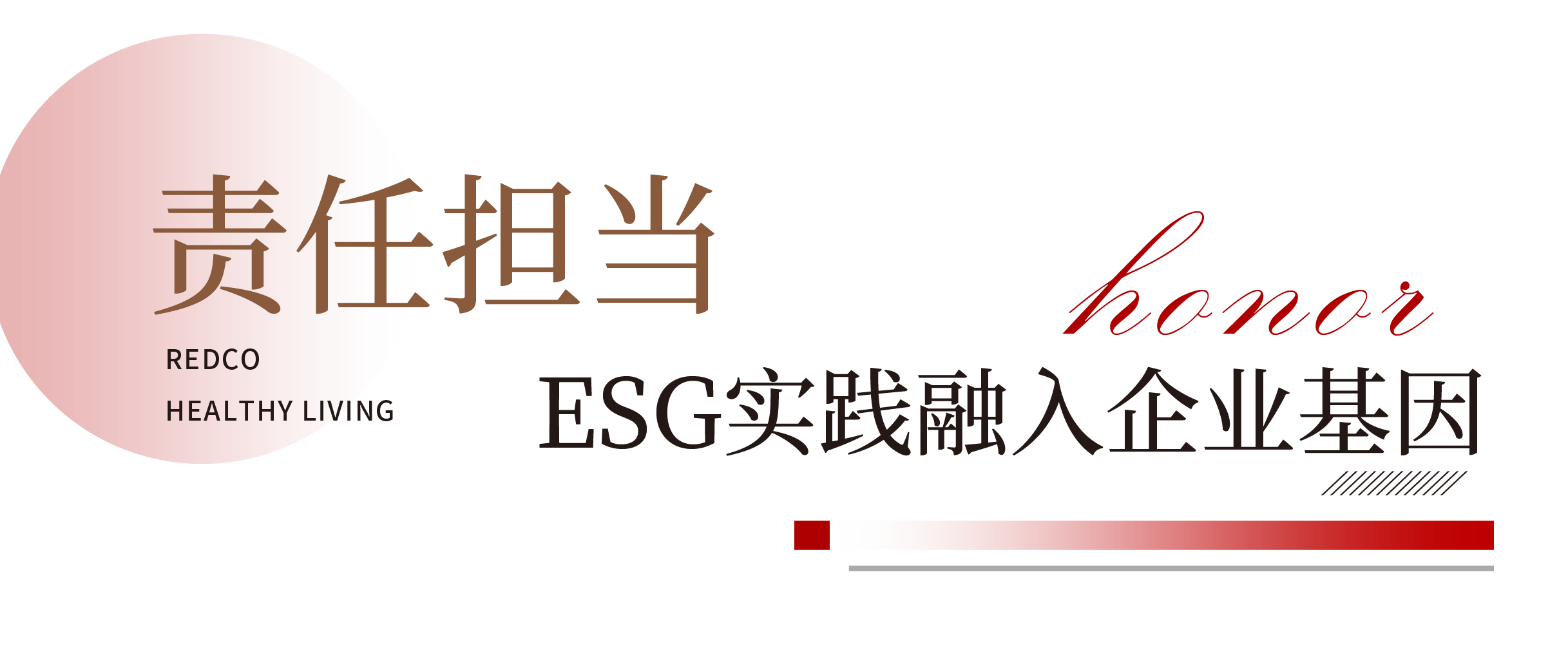 1747363927518477.png 标题-03.png